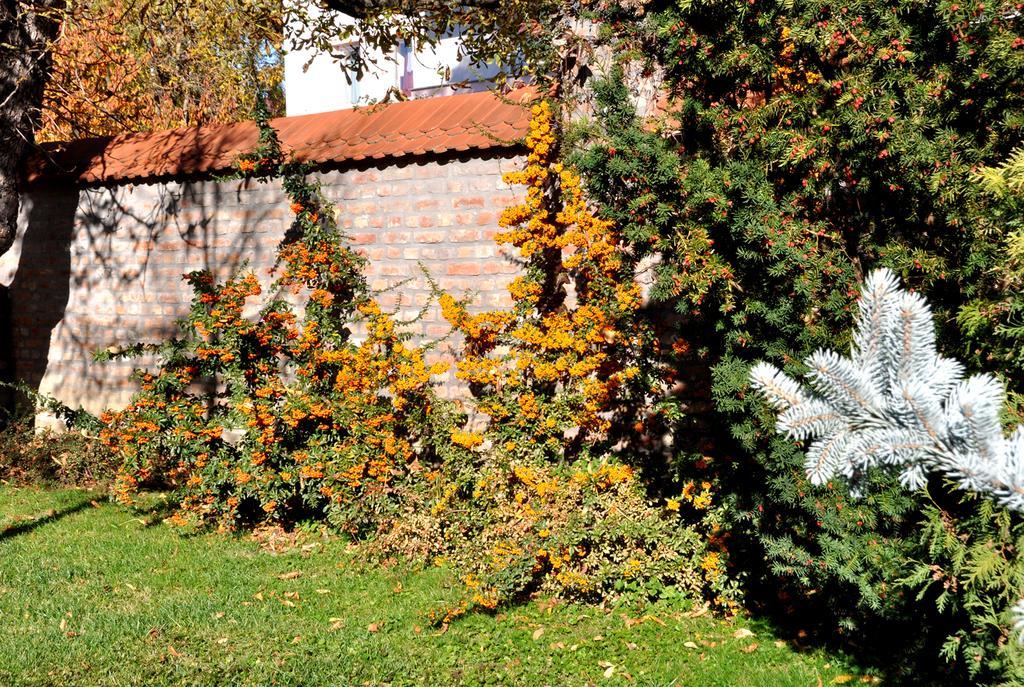 Ametiszt Hotel Harkány Buitenkant foto